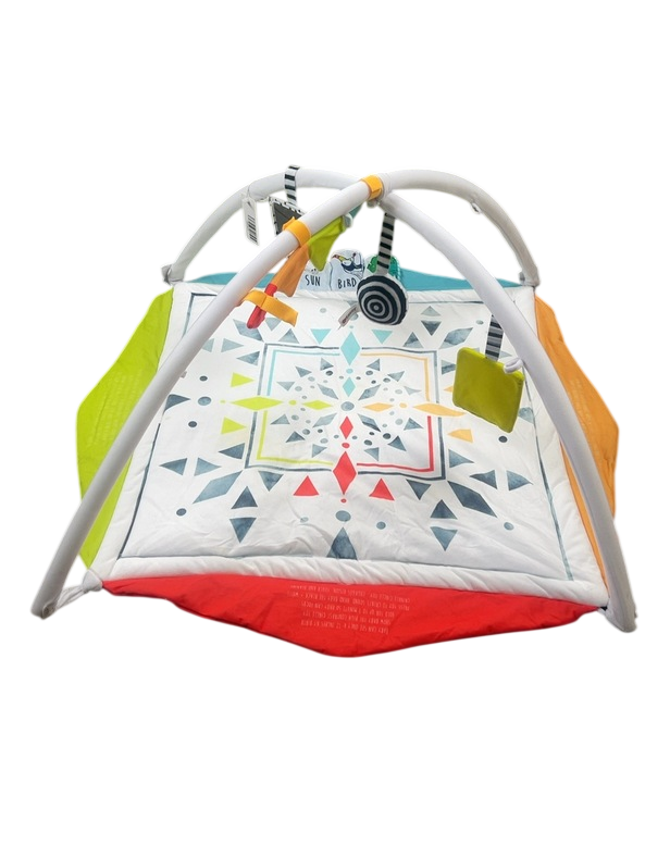 Sassy Hello Baby Milestone Play Gym