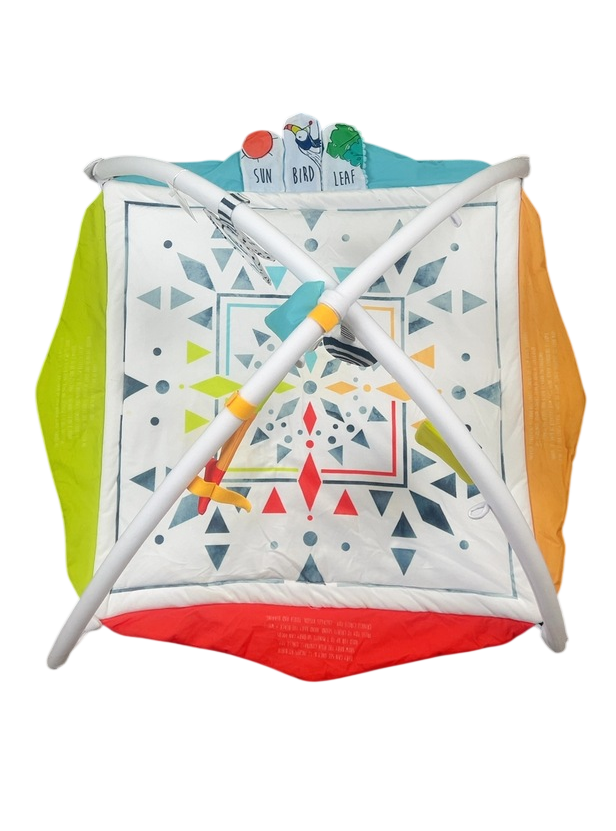 Sassy Hello Baby Milestone Play Gym