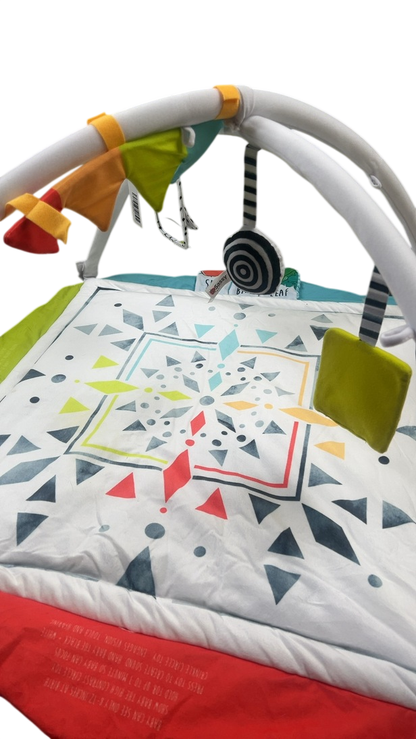 Sassy Hello Baby Milestone Play Gym